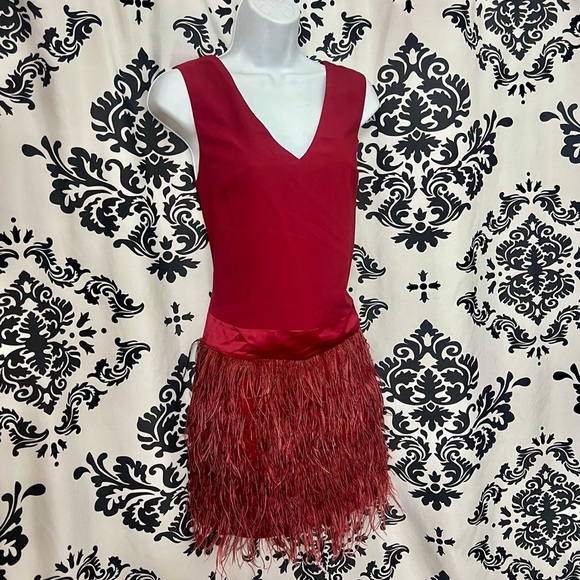 Ark & Co Dresses & Skirts - Ark & Co Burgundy Feathered Mini Dress NWT